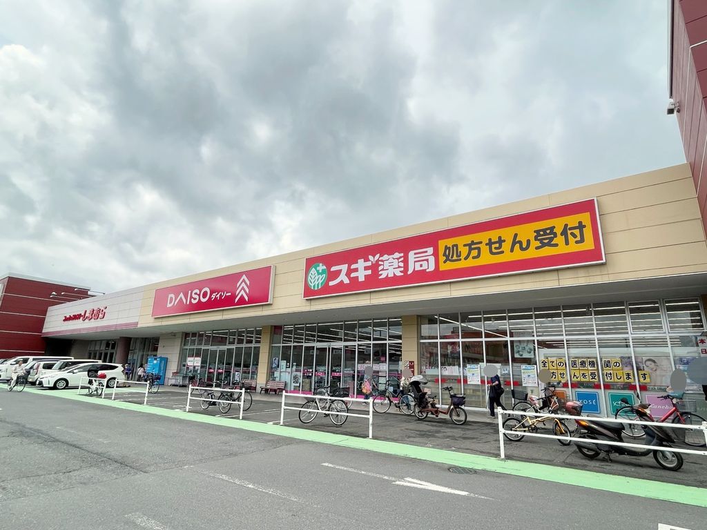 ドラックストア　スギ薬局北入曽店（ドラッグストア）まで790m