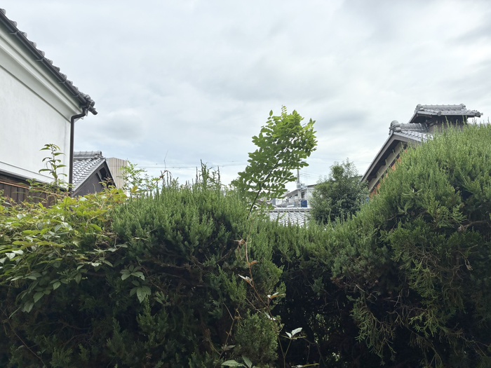 ランブラス長岡京のその他写真