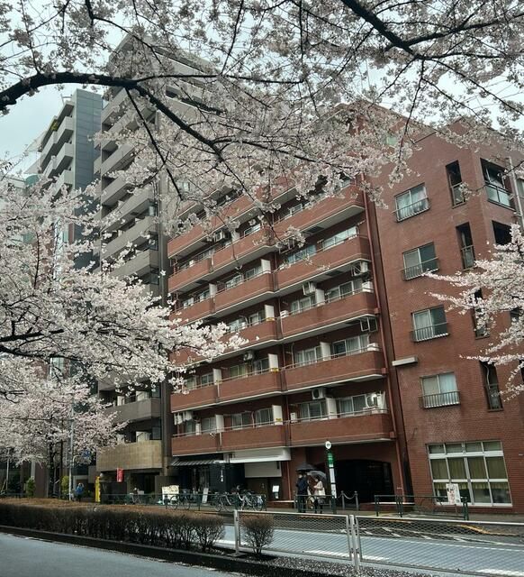 ＪＲ山手線 恵比寿駅 徒歩7分 築46年