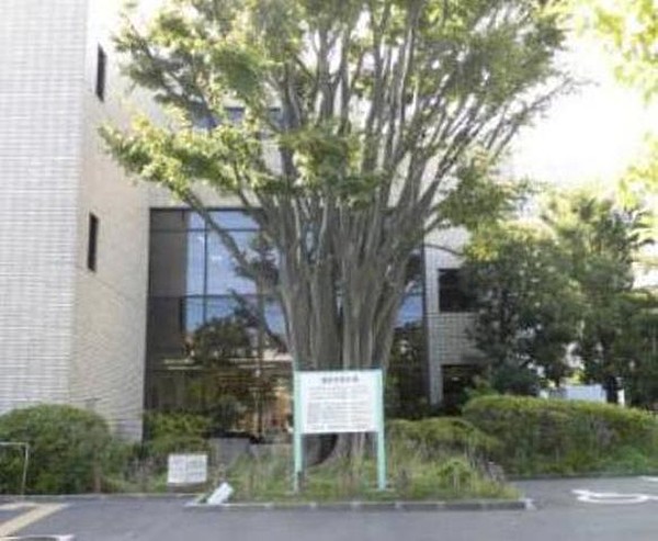 図書館　浦安市立図書館富岡分館（図書館）まで953m