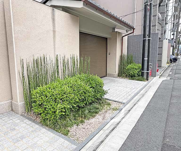 庭