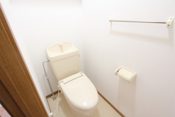ニューハニーハイツ Dのトイレ写真