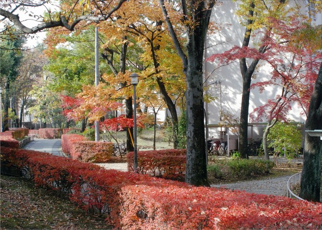 UR清瀬旭が丘の外観写真