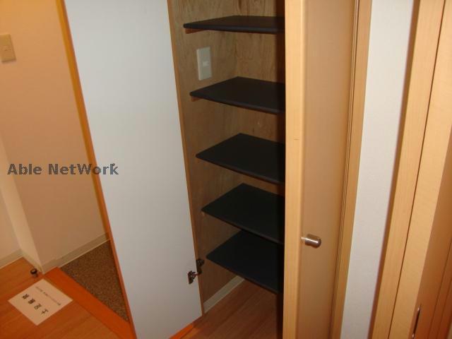 玄関　※同物件、別部屋の写真です