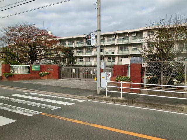 小学校　赤崎小学校（小学校）まで590m