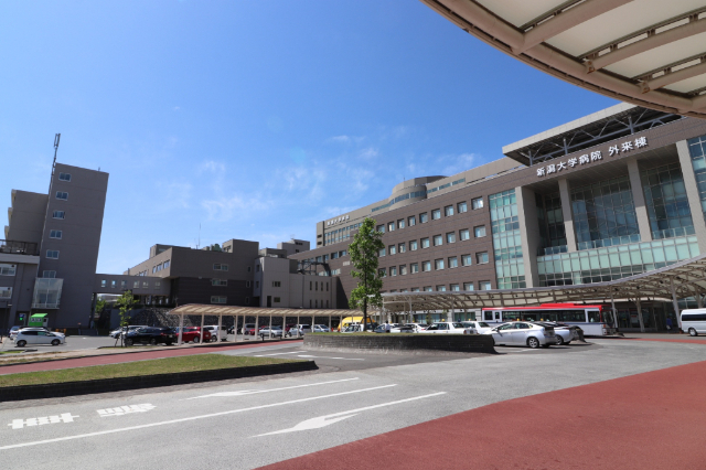 大学・短大　日本歯科大学新潟生命歯学部（大学・短大）まで4524m