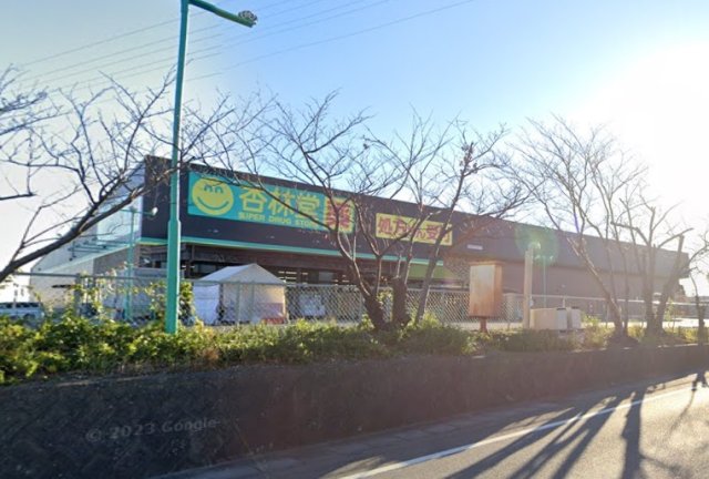 スーパー　杏林堂薬局　新居店（スーパー）まで300m