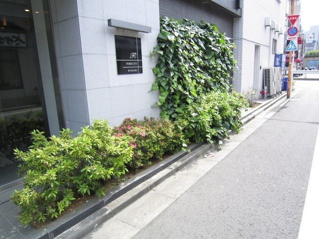 庭　植栽