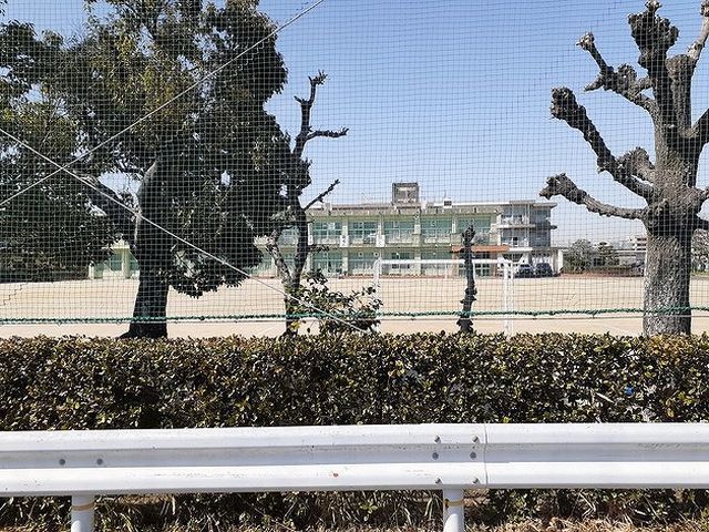 小学校　南部小学校（小学校）まで450m