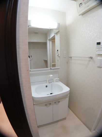 洗面設備　他号室のお写真です