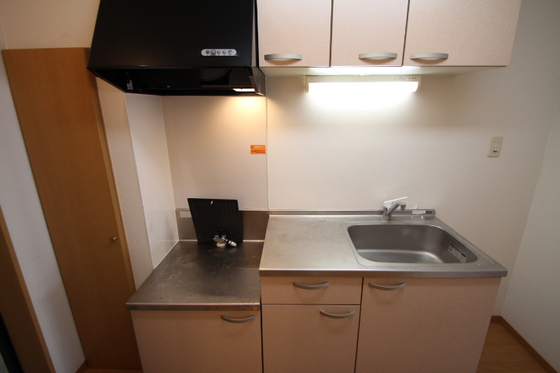 キッチン　他号室のお写真です