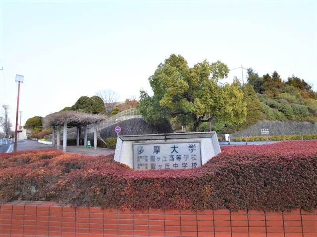 大学・短大　多摩大学（大学・短大）まで2637m