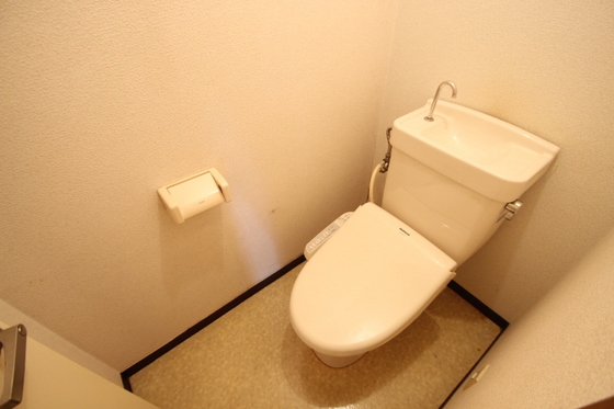 トイレ　※別号室の写真です