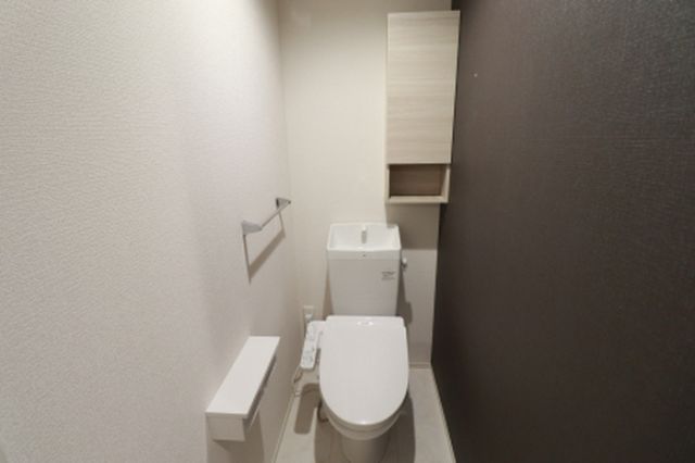 D Paina 鴨居IIのトイレ写真
