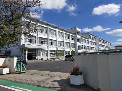 小学校　江南市立古知野東小学校（小学校）まで816m
