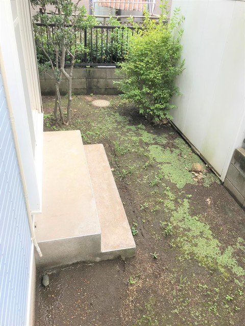 庭