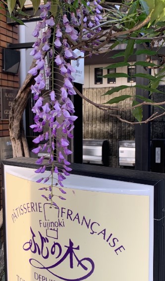 飲食店　パティスリー ふじの木（飲食店）まで232m