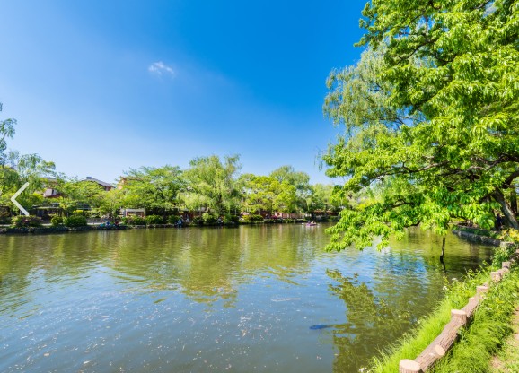 公園　石神井公園（公園）まで1328m