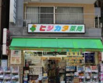 ドラックストア　ヒジカタ薬局（ドラッグストア）まで393m