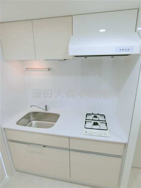 キッチン　調理スペースのある2口ガスシステムキッチン