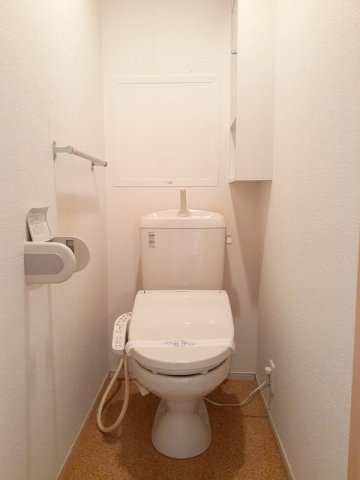トイレ　トイレも気になるポイント