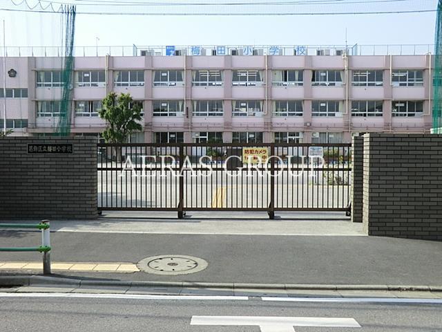 小学校　葛飾区立梅田小学校（小学校）まで583m