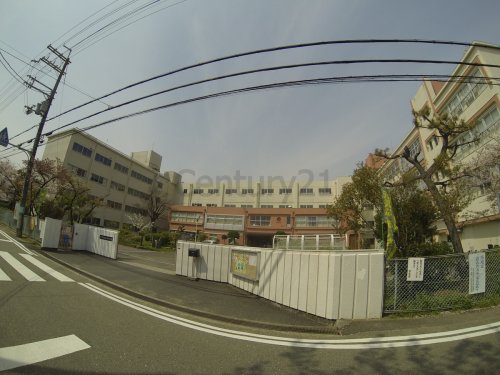 小学校　伊丹市立 花里小学校（小学校）まで488m