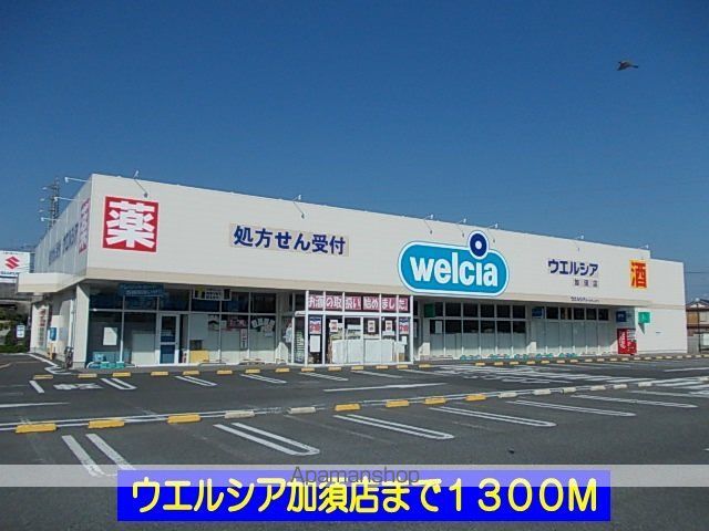 ドラックストア　ウエルシア加須店（ドラッグストア）まで1300m