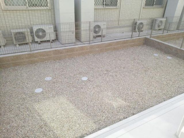 庭