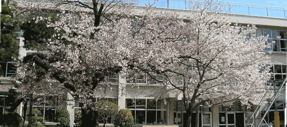 小学校　武蔵村山市立第一小学校（小学校）まで738m