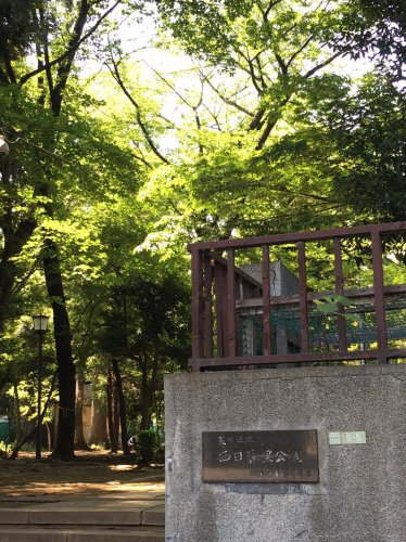 公園　荒川区立 西日暮里公園（公園）まで304m