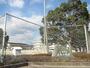 小学校　北島小学校（小学校）まで1100m