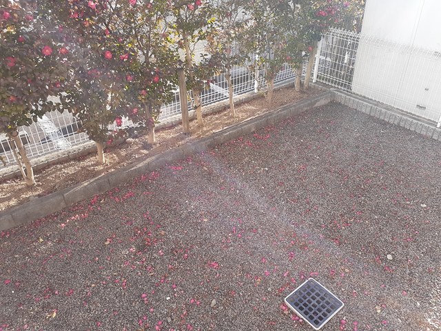 庭　専用庭