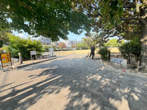 公園　若松公園（公園）まで391m