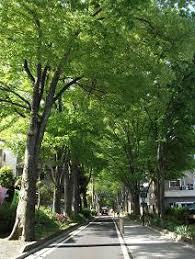 公園　氷川緑地（公園）まで285m