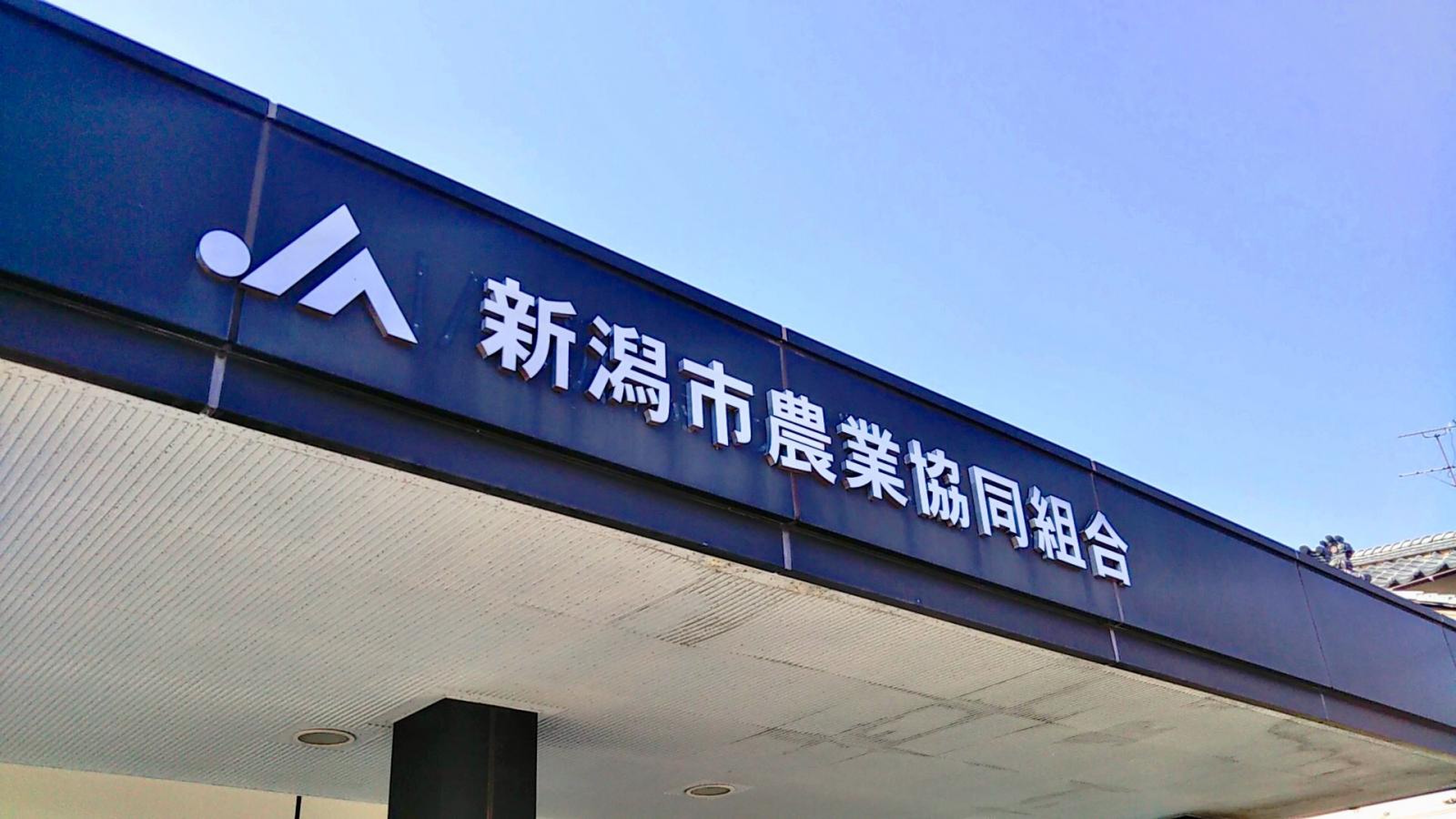 ＪＲ信越本線 越後石山駅 徒歩11分 2階建 築11年の周辺写真