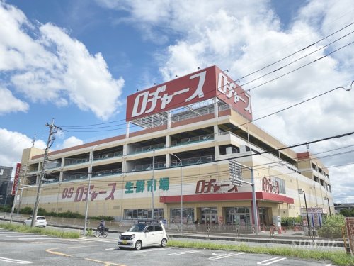 スーパー　ロヂャース 浦和店（スーパー）まで535m