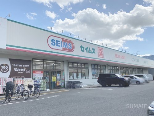 ドラックストア　ドラッグセイムス与野鈴谷店（ドラッグストア）まで793m