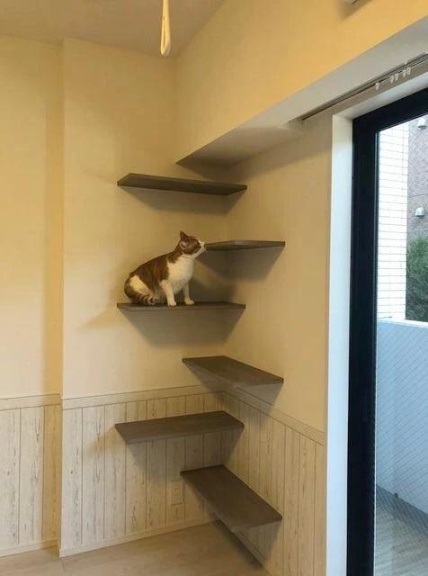 ソラニテ馬込のその他写真