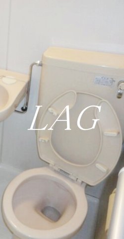 トイレ　トイレです。