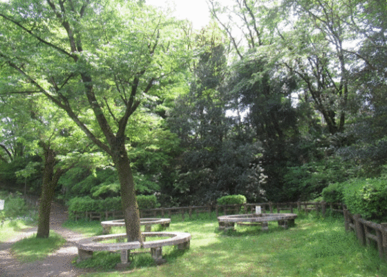 公園　狭間公園（公園）まで981m