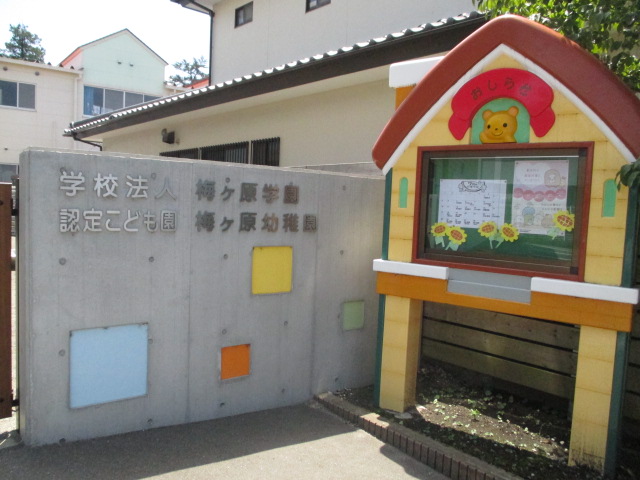 【イーストボックスの幼稚園・保育園】