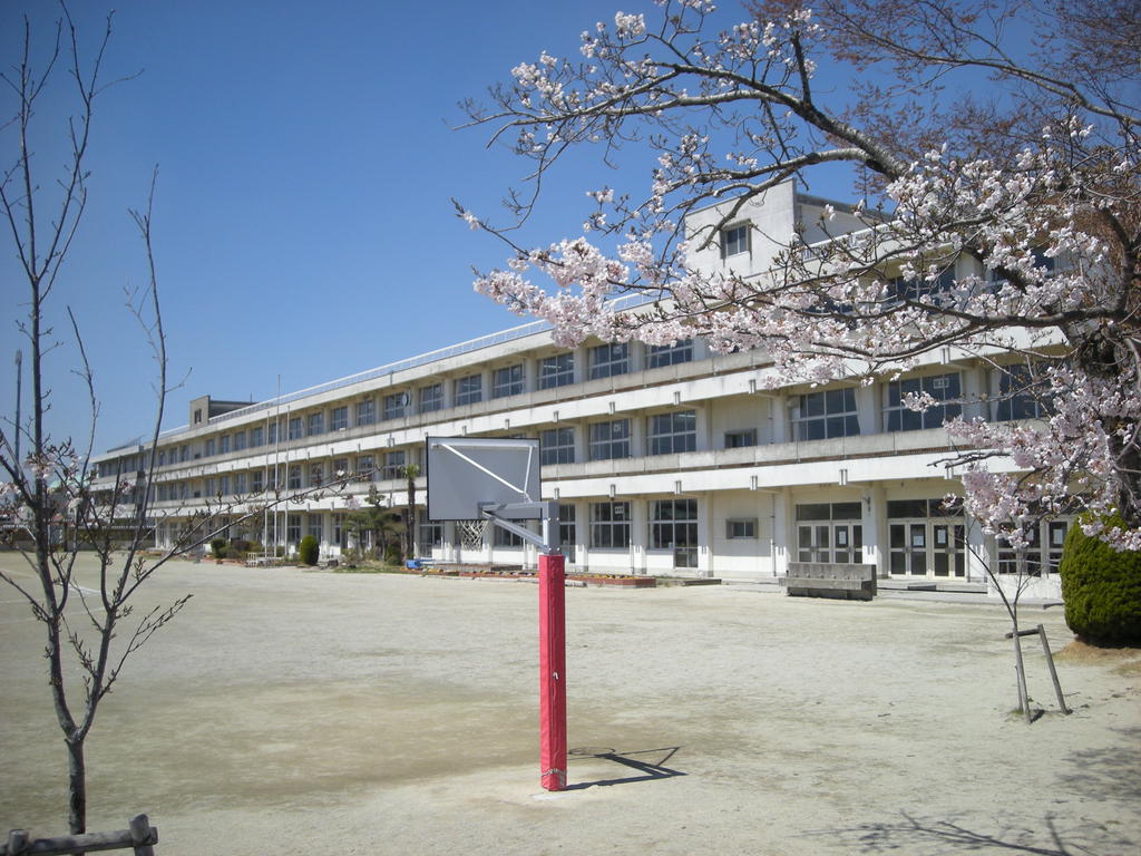 小学校　石巻市立開北小学校（小学校）まで499m