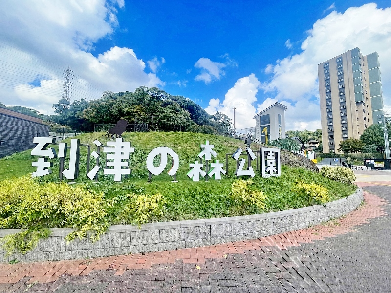 【Tパーク歯大前の公園】