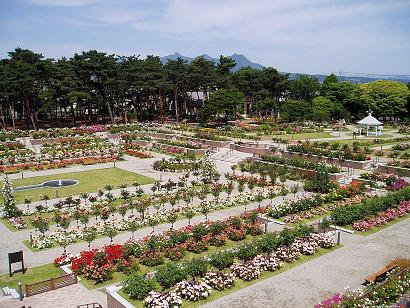 公園　敷島公園（ばら園）（公園）まで955m