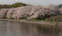 公園　酒津公園（公園）まで392m