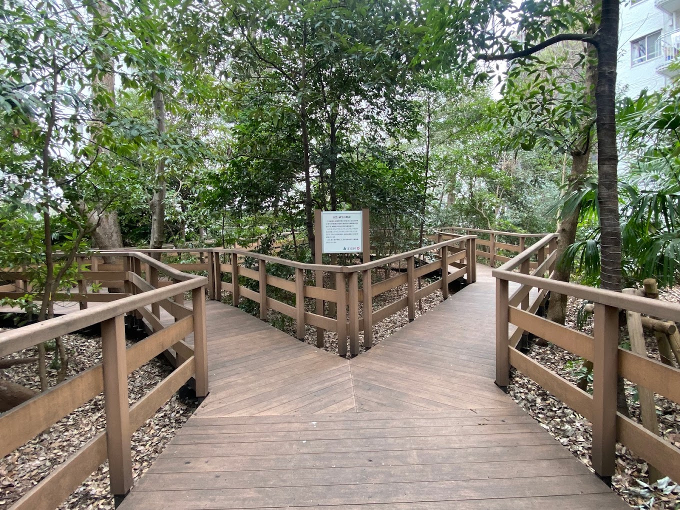 公園　千石緑地（公園）まで749m