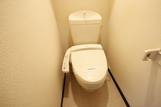 トイレ　※別号室の写真です