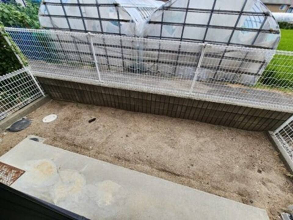 庭　庭
