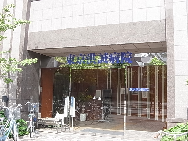 病院　東京洪誠病院（病院）まで203m